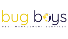bugboys.co.za